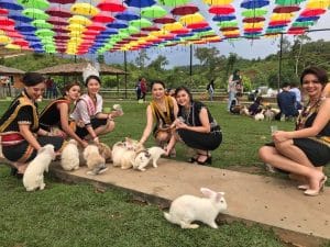 Rabbit Farm Ranau Sabah